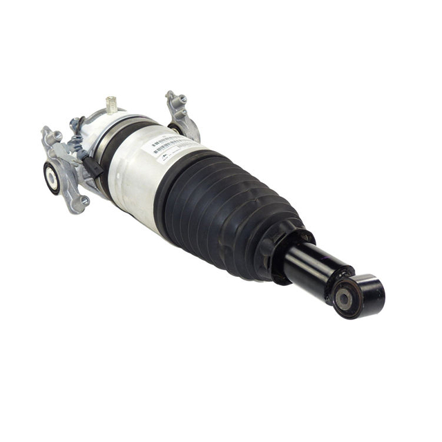 Hot air strut to coil spring range rover conversion strut conversion air ride suspension electronic control system bellow ballon